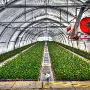 greenhouse, slide tunnel, crops-2546692.jpg